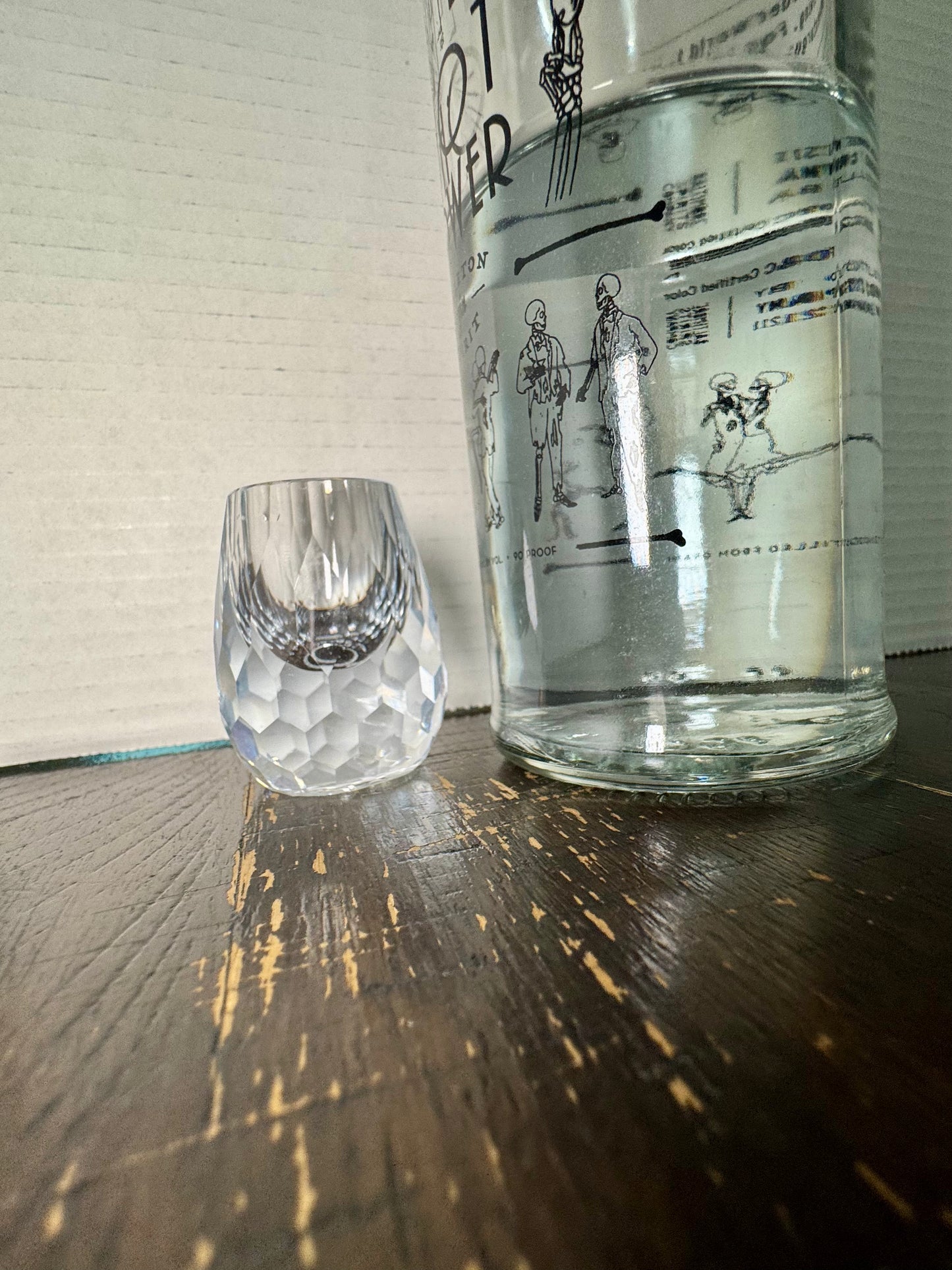 Would You Like A Shot? (Shot Glasses)